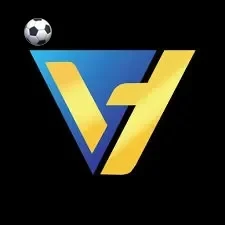 Logo valohoki
